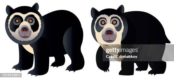 13 Ilustraciones de Oso De Anteojos - Getty Images 13 Ilustraciones de Oso De Anteojos - Getty Images