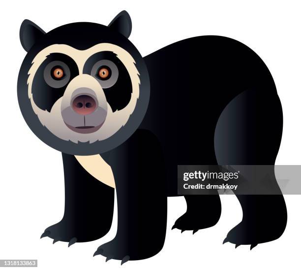 13 Ilustraciones de Oso De Anteojos - Getty Images 13 Ilustraciones de Oso De Anteojos - Getty Images