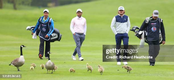Edoardo Molinari of Italy and Eddie Pepperell of England pass a family of geese Andy Sullivan of England they walk down the fourth fairway during the...