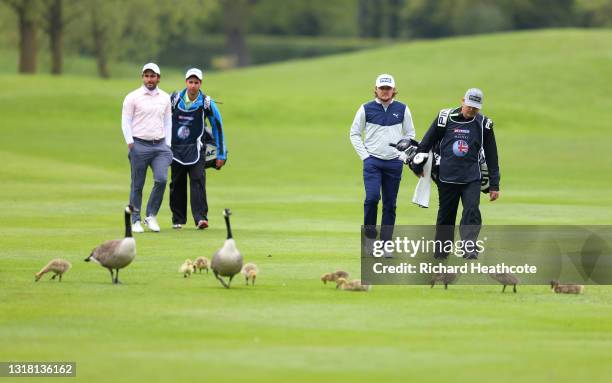 Edoardo Molinari of Italy and Eddie Pepperell of England pass a family of geese Andy Sullivan of England they walk down the fourth fairway during the...