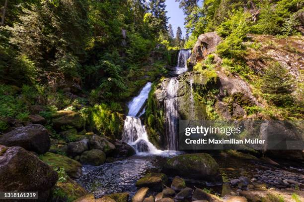 triberger wasserfälle (triberg waterfalls), triberg, germany - black forest germany stock pictures, royalty-free photos & images