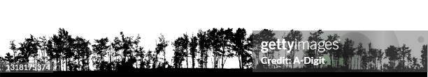 very long treeline - aspen trees stock illustrations