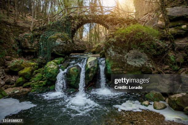 beautiful countryside waterfall in luxembourg - luxembourg stock pictures, royalty-free photos & images