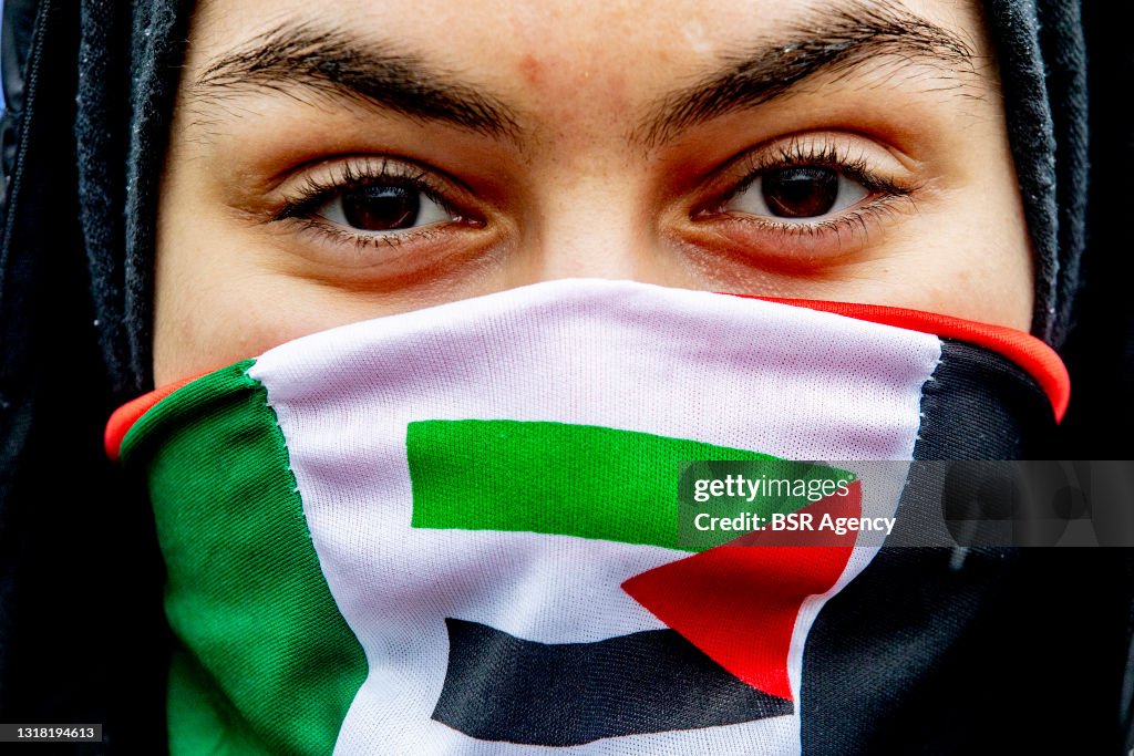 Pro-Palestine protest in The Hague