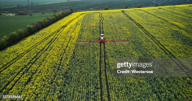 farmer sprays against fungus on rape - khaki green stock pictures, royalty-free photos & images