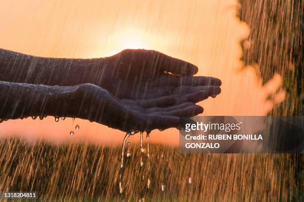 raindrops falling against caucasian hands at sunset - chuva imagens e fotografias de stock