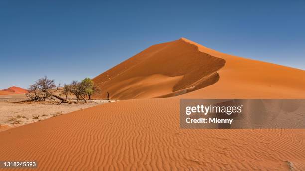 namibië giant desert sand dune panorama dune 45 sesriem - dead vlei stockfoto's en -beelden