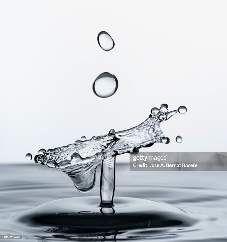 Collision of blue water drops (water mushrooms), on a white background