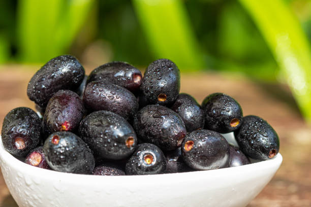 Jamnu Jamun Fruit Photos and Premium High Res Pictures - Getty Images