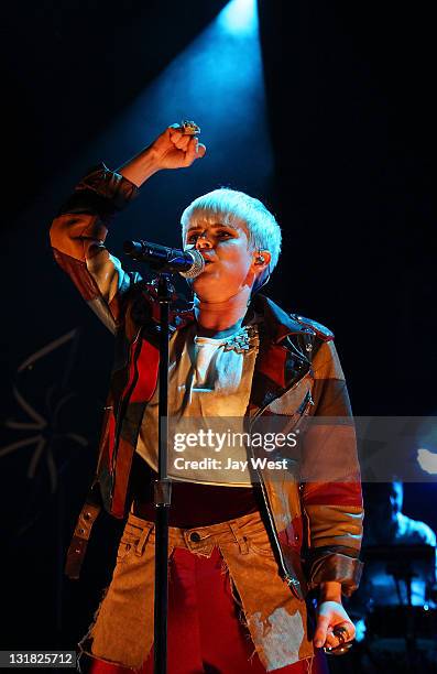 Robin Concert 74 Robyn In Concert Austin Texas Stock Photos, High-Res Pictures, and ...