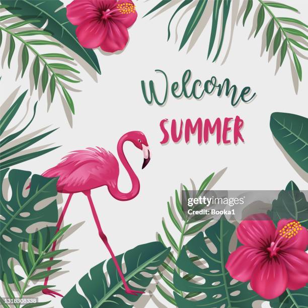 tropical summer design background - flamingos stock illustrations