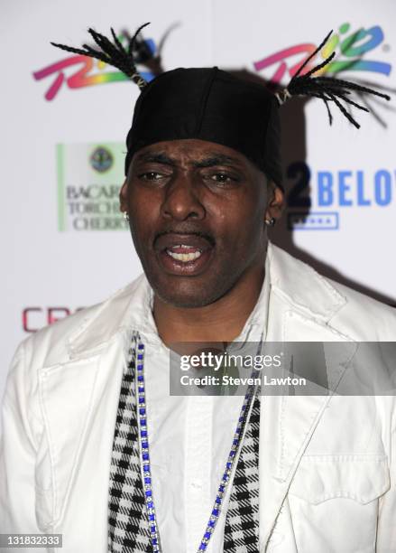 34 Christmas With Coolio Stock Photos, High-Res Pictures, and Images ...