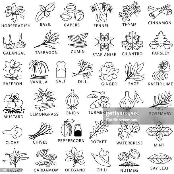 ilustrações de stock, clip art, desenhos animados e ícones de cooking herbs, spices and seasoning outline icons - cebolinho