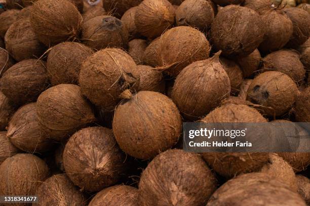 full frame portrait of shelled dry coconut - kokosnussöl stock-fotos und bilder