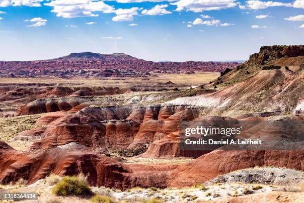 painted desert view at petrified forest national park in arizona - the petrified forest national park stock pictures, royalty-free photos & images