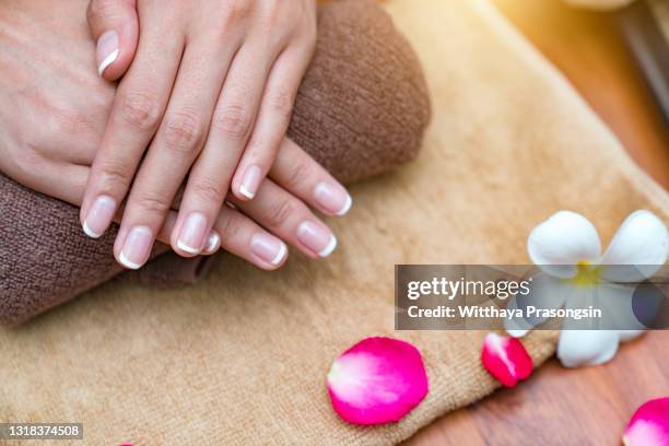 beautiful woman hands and flowers. - französische maniküre stock-fotos und bilder