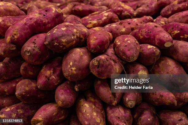 South American Tuber Photos and Premium High Res Pictures Getty Images South American Tuber Photos and Premium High Res Pictures Getty Images