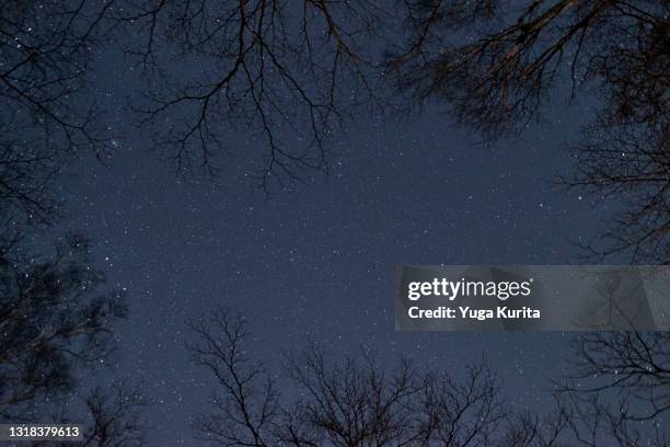 Spring Night Forest Night Sky Spring Photos and Premium High Res Pictures - Getty Images