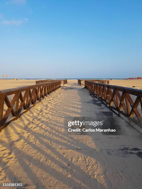 a caminho da praia - aracaju stock pictures, royalty-free photos & images