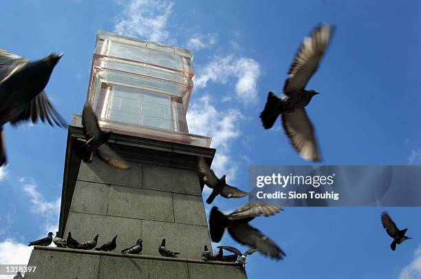 Pigeons in Trafalgar Square fly past a new sculpture entitled "Monument" after it was unveiled June 4, 2001 in London, England. The sculpture by...