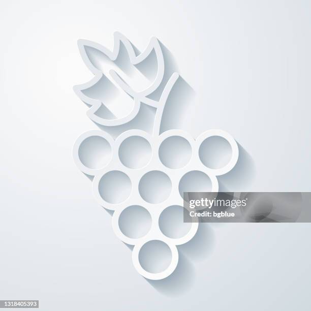 grape. icon with paper cut effect on blank background - grape leaf icon stock illustrations
