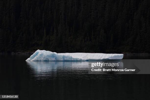 blue iceberg in se alaska - ice floe stock pictures, royalty-free photos & images