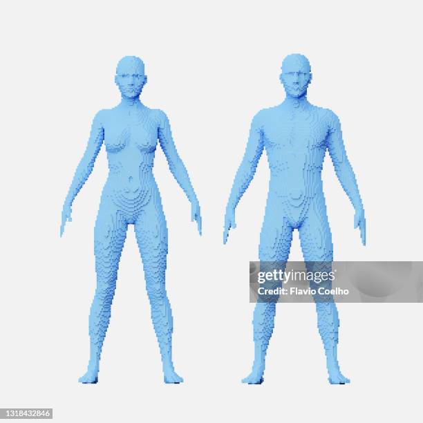 Man Body Model 615 Male Body Models Stock Photos, High-Res Pictures, and Images ...