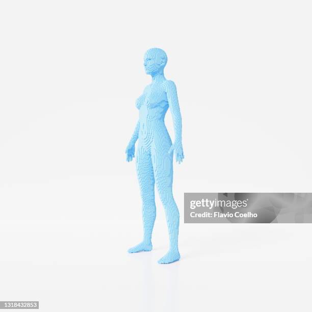 three-quarter front view of full female body voxel model - 3d human model stockfoto's en -beelden