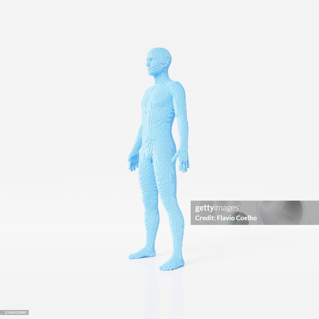 Three-quarter front view of full male body voxel model