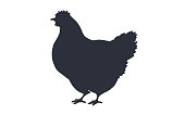 Hen, chicken. Black white silhouette chicken, hen