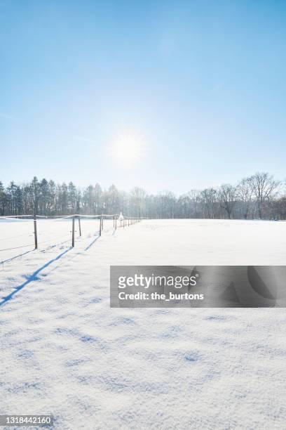 snow covered field against blue sky and sun in winter - bare trees on snowfield stock pictures, royalty-free photos & images