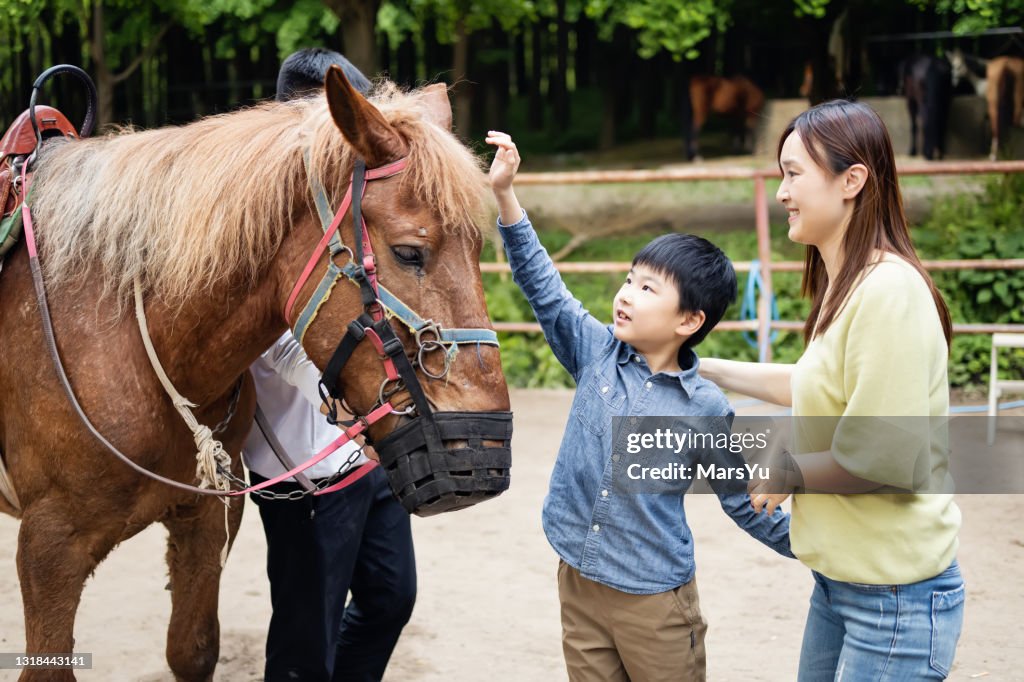 Mother and son with horse
