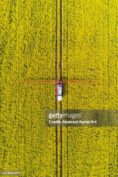 drone shot above a crop sprayer in a canola field, united kingdom - canola ストックフォトと画像