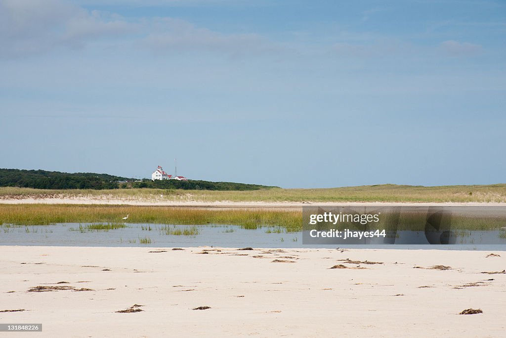Nauset marsh