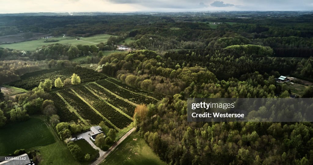 Tierras agrícolas y forestales mixtas