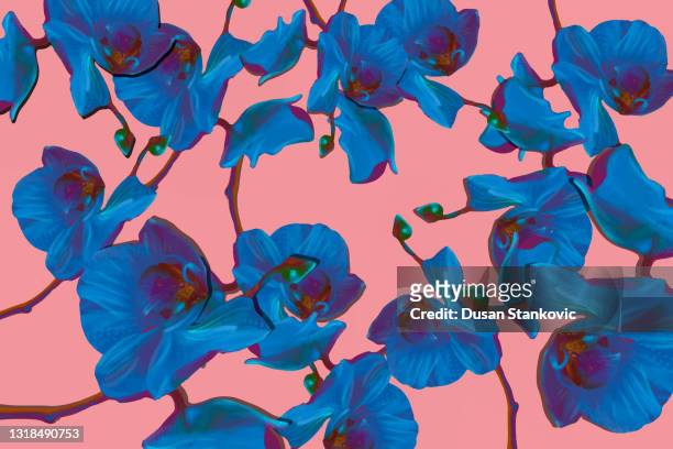 nahtloses muster mit blauen orchideen - orchidee stock-grafiken, -clipart, -cartoons und -symbole