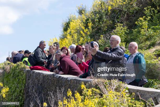 View of members of the public gathered to observe the Arctic Walrus locally known as Wally resting on the Slipway to the Lifeboat house on May 17,...