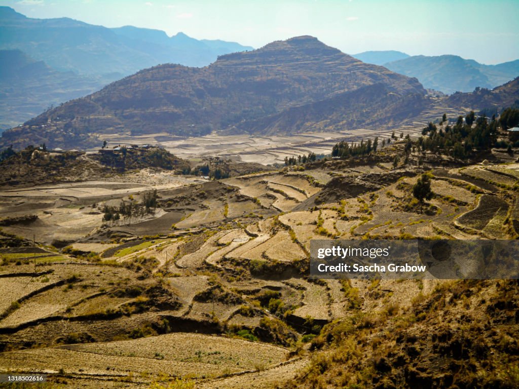 Ethiopian Highlands Agricultural Terraces