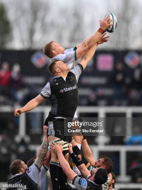 David Ribbans Rugby Northampton Saints Lineout Photos and Premium High Res Pictures - Getty ...