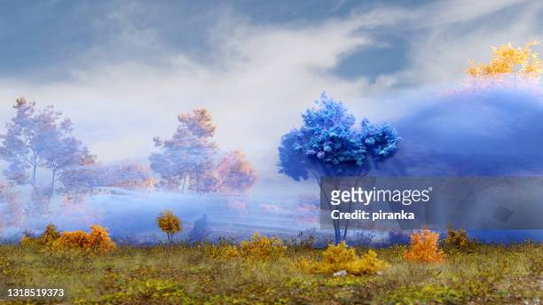 misterioso albero blu - adattabile foto e immagini stock