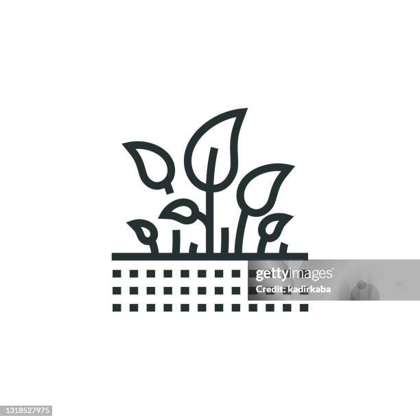 farming and agriculture, growth line icon - corn wheat vector stock illustrations