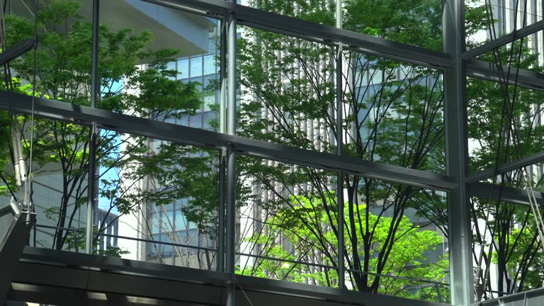 imagen en miniatura de vídeo