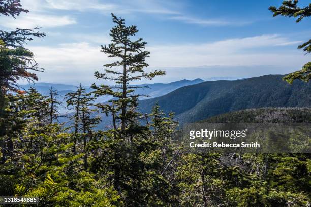 hiking in the mountains in new hampshire - appalachian trail fotografías e imágenes de stock