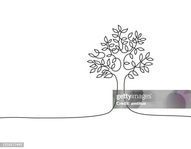 tree drawing - apple tree stock illustrations