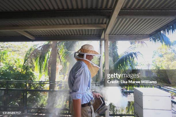Thomas Gillard, PhD candidate and beekeeping trainer examines hives at the BEE Lab at The University of Sydney on May 18, 2021 in Sydney, Australia....