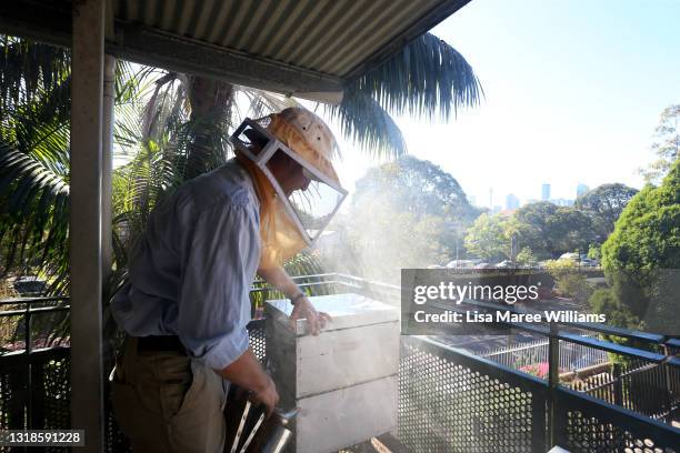 Thomas Gillard, PhD candidate and beekeeping trainer examines hives at the BEE Lab at The University of Sydney on May 18, 2021 in Sydney, Australia....