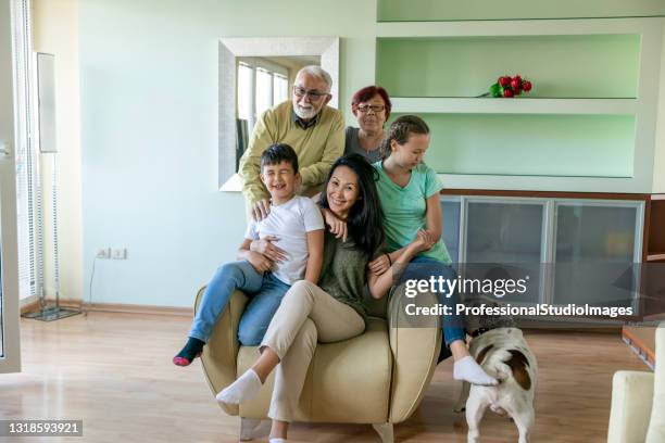 multi-generation family is relaxing together at home with their little dog. - chinese bulldog stock pictures, royalty-free photos & images