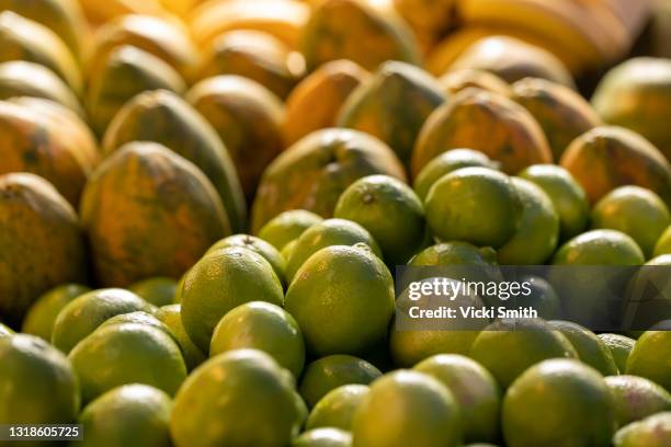 bunch of citrus lemon  and pawpaw 
 fruit at the local market - pawpaw tree stock pictures, royalty-free photos & images
