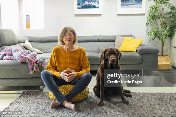 senior woman meditating at home with her pet dog - yellow labrador retriever photos et images de collection