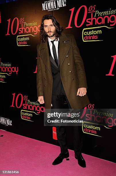 Actor Sergio Mur attends the 'Shangay Awards' 2010 at the Coliseum Theatre on November 30, 2010 in Madrid, Spain.